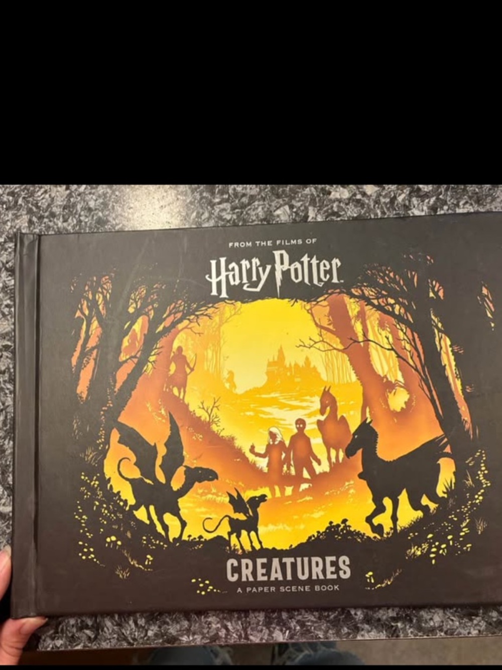 Harry Potter Creatures Paper Scene Pop Up Book - Black & Orange